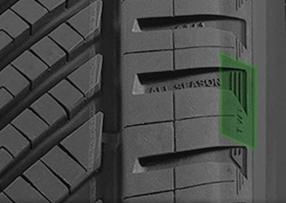 Kormoran All Season (3)